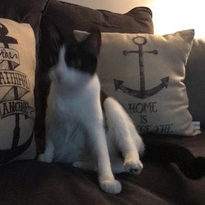 Meet your Posher, Savannah